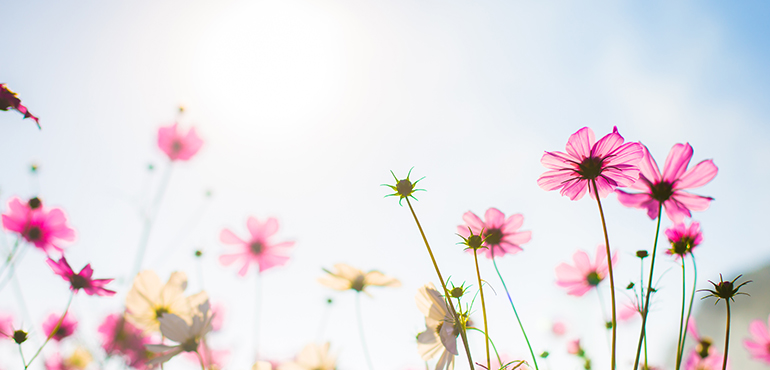 Autumn Budget 2025 image